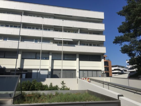 Architekt